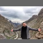 Doğan