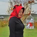 Asena