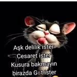 Metin