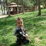 Halis
