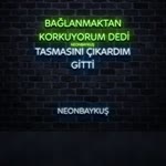 Ayse