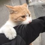 Atakan