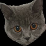 Kemal