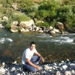 Faris