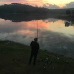 Holtacı