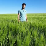 Nihat