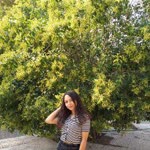 Yasemin