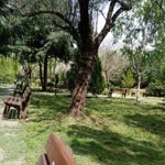Şevval