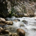 Şefaat