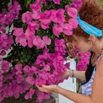 Hande
