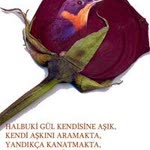 Nesin