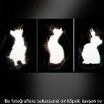 Yakup