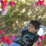 Davut