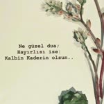Zeynep