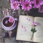 Derya