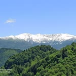 Yaşar
