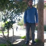 Vedat