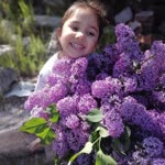 Derya