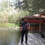 Taşer