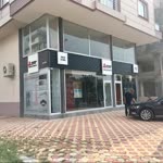 Sezgin