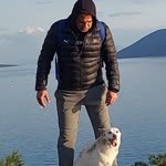 Umut
