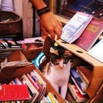 Ulaş