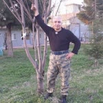Veysel