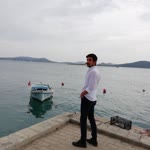 Şahin