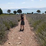 Ayse