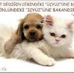 Deniz