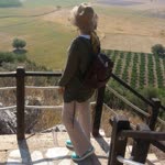 Sibel