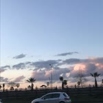 Rabia