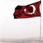 Nur