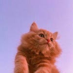 Melike