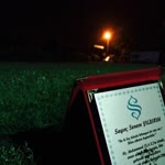 Senem