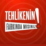 Dalgıç