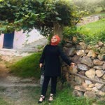 Duygu