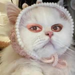Fatma