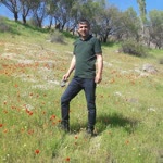 Şahin