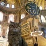 Merve