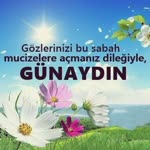 Tayfun