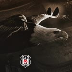 Alper