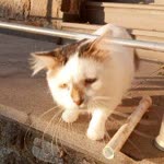 Gizem