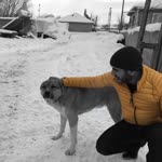 Ulaş