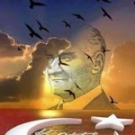 Halim