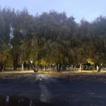 Raşit