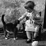 Sibel