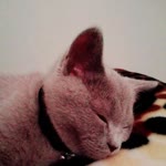 Zeynep