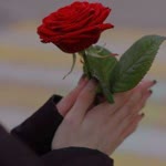 Merve