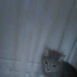Zilan